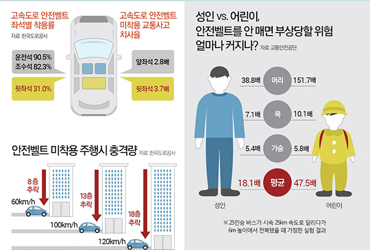 안전벨트 치사율 및 부상률 (자료=한국도로공사)