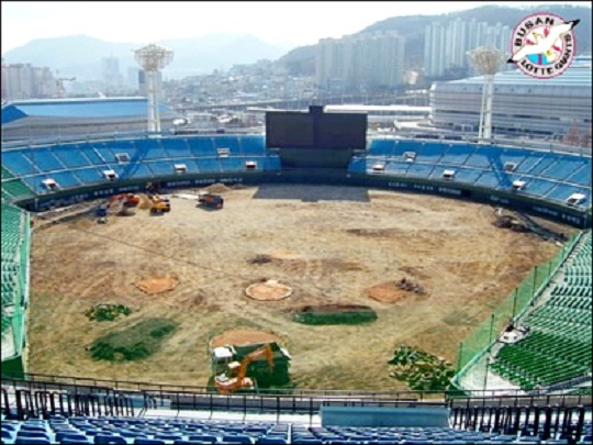 부산시와 롯데는 2006년 사직구장 인조 잔디를 천연 잔디로 전면 교체했다(사진=롯데)