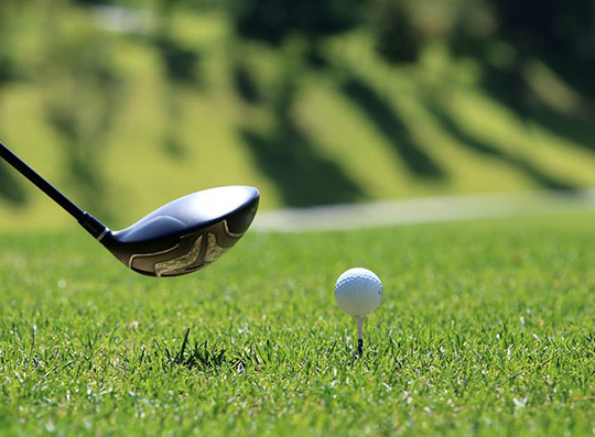 최봉암 교수는 골프 꿈나무 육성을 위해 골프장 문제 개선이 이뤄져야 한다고 주장한다(사진=pixabay)