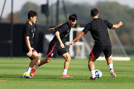황인범(사진 가운데)(사진=대한축구협회)