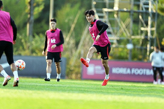 황인범(사진=대한축구협회)