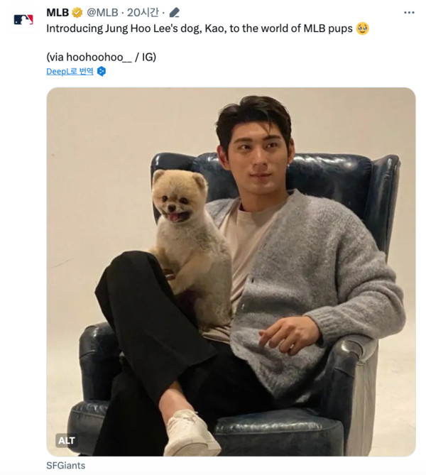 MLB.com이 SNS에서 소개한 이정후의 반려견(사진=MLB.com)