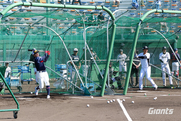 롯데 자이언츠와 롯데 마린스의 합동 훈련 장면(사진=롯데)