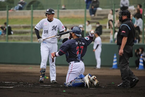 롯데와 지바롯데가 합동 훈련을 진행하고 있다(사진=롯데)
