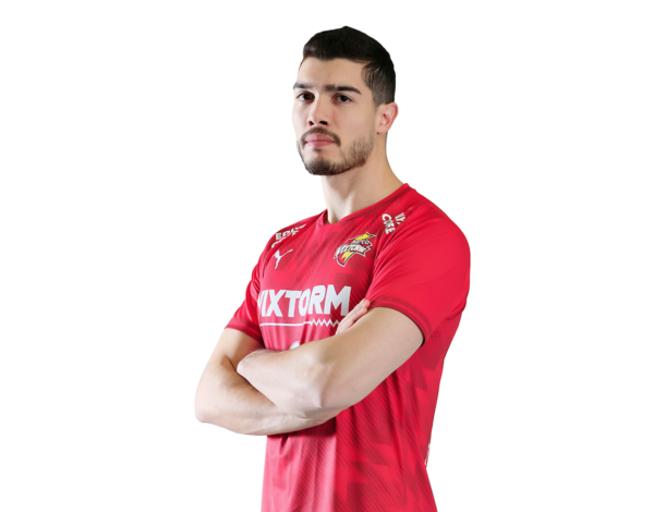 마테우스(사진=한국전력)