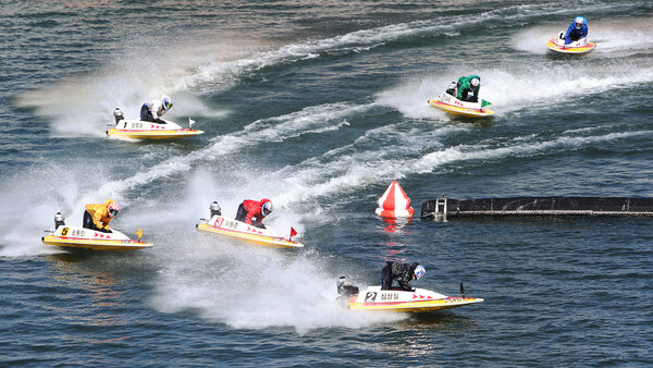 미사경정장에서 출전 선수들이 2턴마크에서 경합을 벌이고 있다. 사진 | KSPO