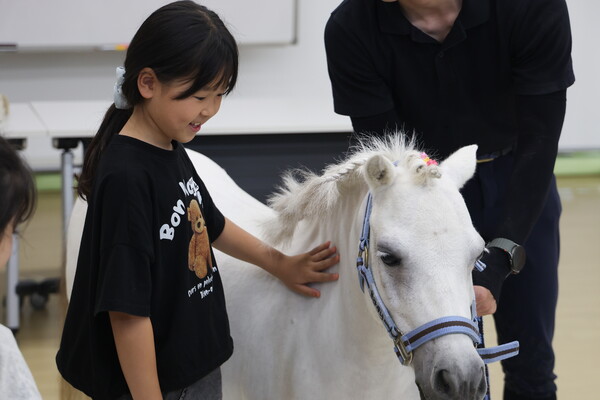 미니어처 포니를 만져보는 오류남초 어린이. 사진 | 한국마사회