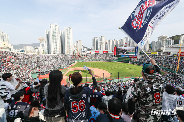 박주현 매니저는 올해로 입사 6년차 데이터분석가다. (사진=롯데 자이언츠)