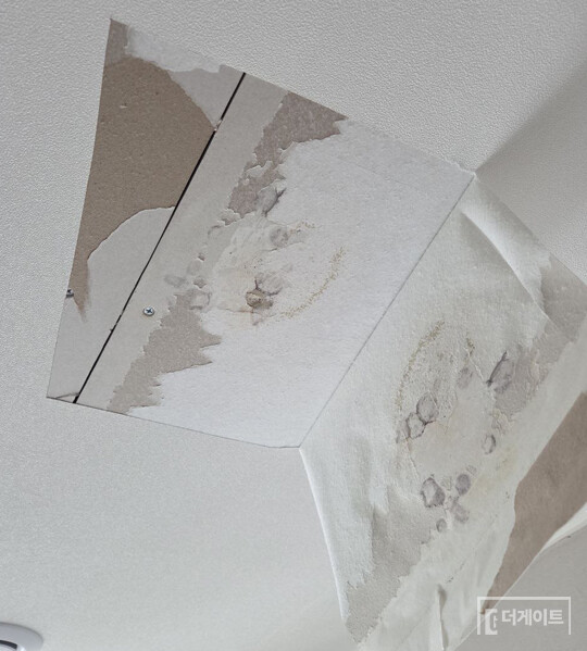 K 씨는 "새 아파트임에도 제대로 된 벽지가 거의 없었다"며 "어떻게 이런 아파트를 펜트하우스로, 그것도 10억 원이나 받고 팔 수 있었는지 모르겠다"고 분통을 터트렸다(사진=더게이트)